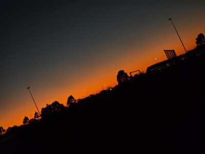 20250622_070133.jpg