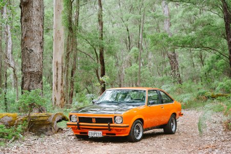 2017.12.14 Abigail Cox JPEG-13.jpg