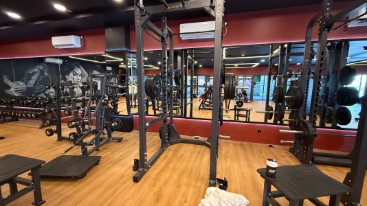 IMG_0559.jpeg IMG_0559.jpeg