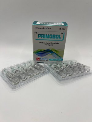 image-20260331-091554-070 (1).jpeg